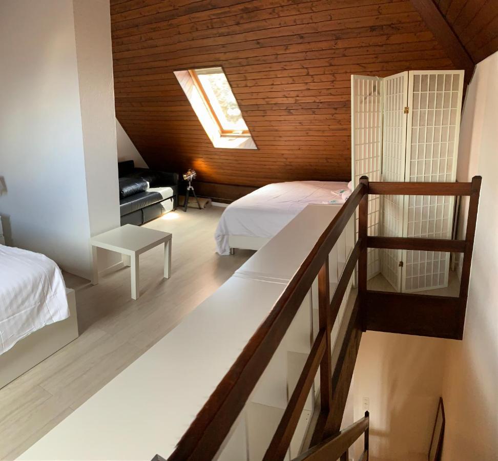 Luxury Duplex Vue Chateau Невшатель Экстерьер фото